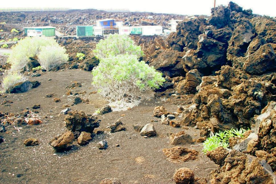 Foto de Fuencaliente - La Palma (Santa Cruz de Tenerife), España