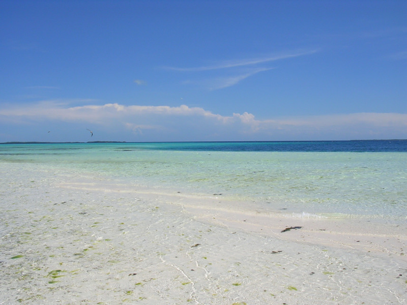 Foto de Los Roques, Venezuela