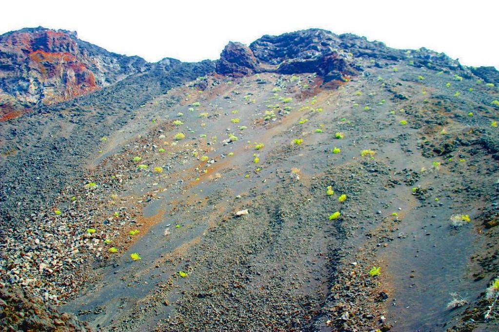 Foto de Fuencaliente - La Palma (Santa Cruz de Tenerife), España