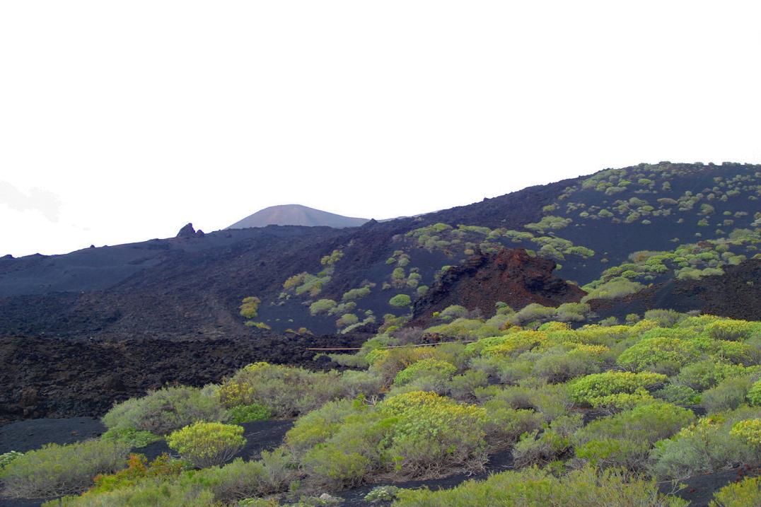 Foto de Fuencaliente - La Palma (Santa Cruz de Tenerife), España