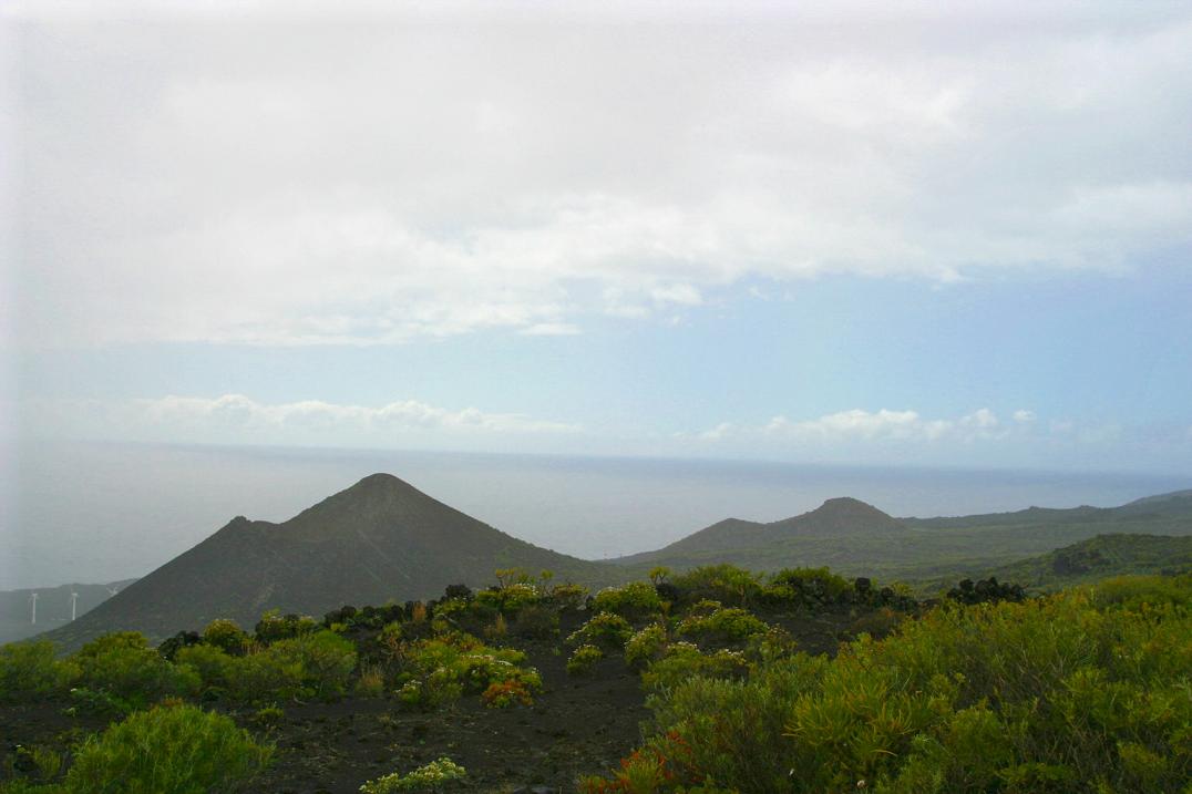 Foto de Los Canarios - La Palma (Santa Cruz de Tenerife), España