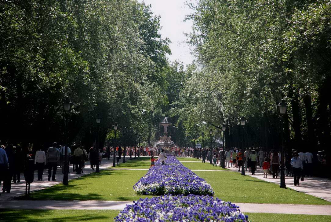 Foto de Madrid (Comunidad de Madrid), España