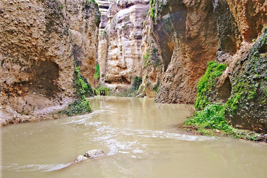 Foto de Ronda (Málaga), España