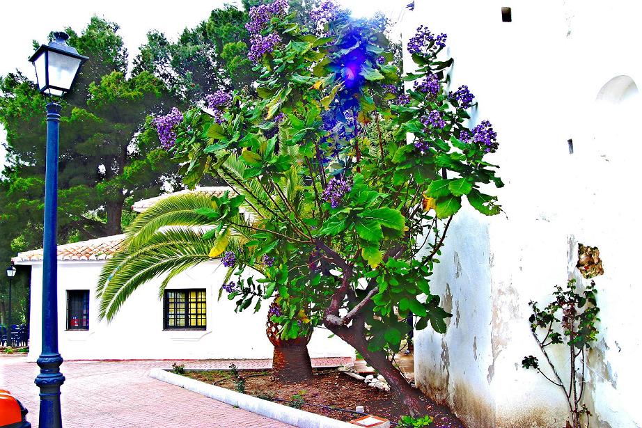 Foto de Mijas (Málaga), España