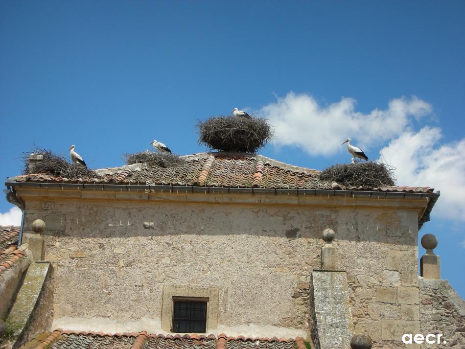 Foto de Matabuena (Segovia), España