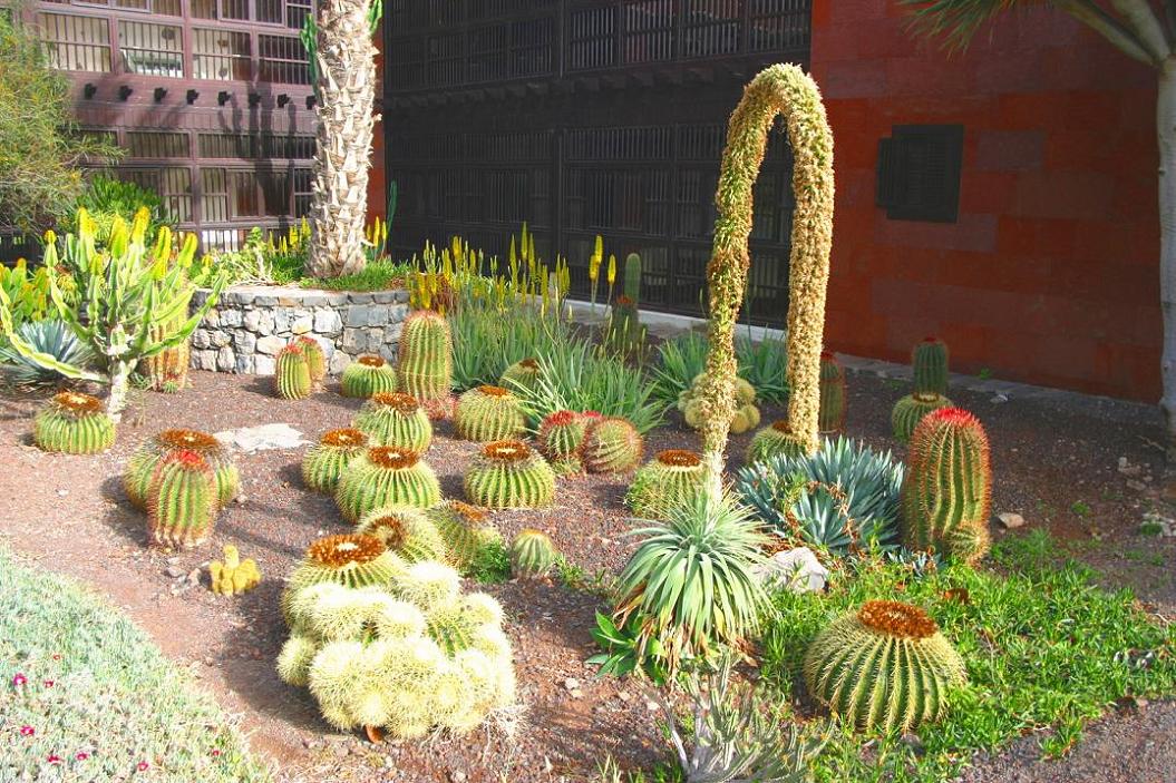 Foto de San Sebastián - La Gomera (Santa Cruz de Tenerife), España