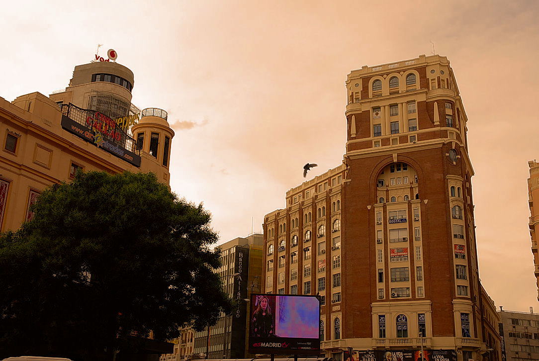 Foto de Madrid (Comunidad de Madrid), España