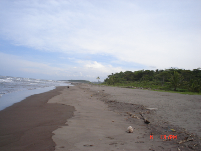 Foto de Tortuguero, Costa Rica