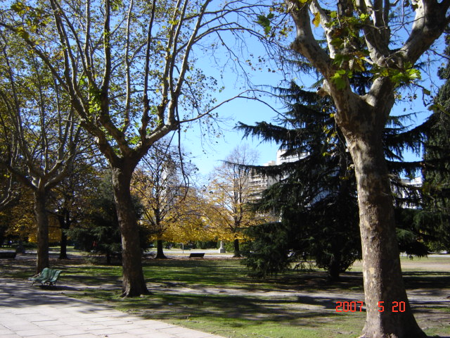 Foto de La Plata (Buenos Aires), Argentina