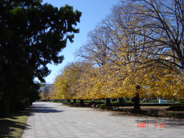 Foto de La Plata (Buenos Aires), Argentina