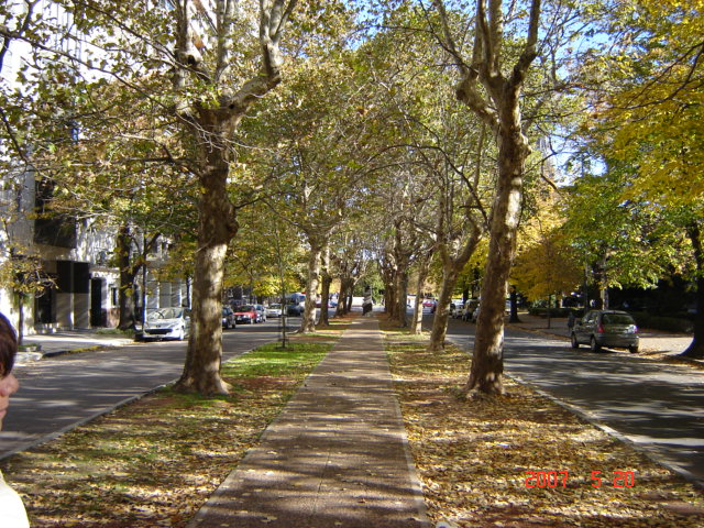 Foto de La Plata (Buenos Aires), Argentina