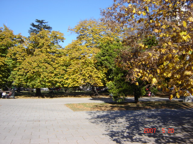 Foto de La Plata (Buenos Aires), Argentina