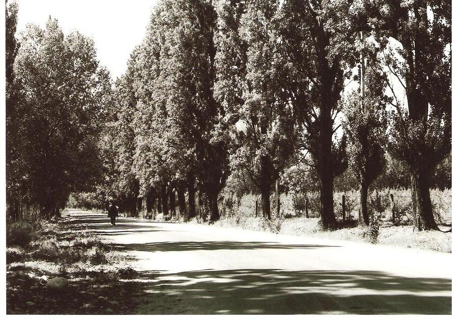 Foto de Tupungato - Mendoza, Argentina