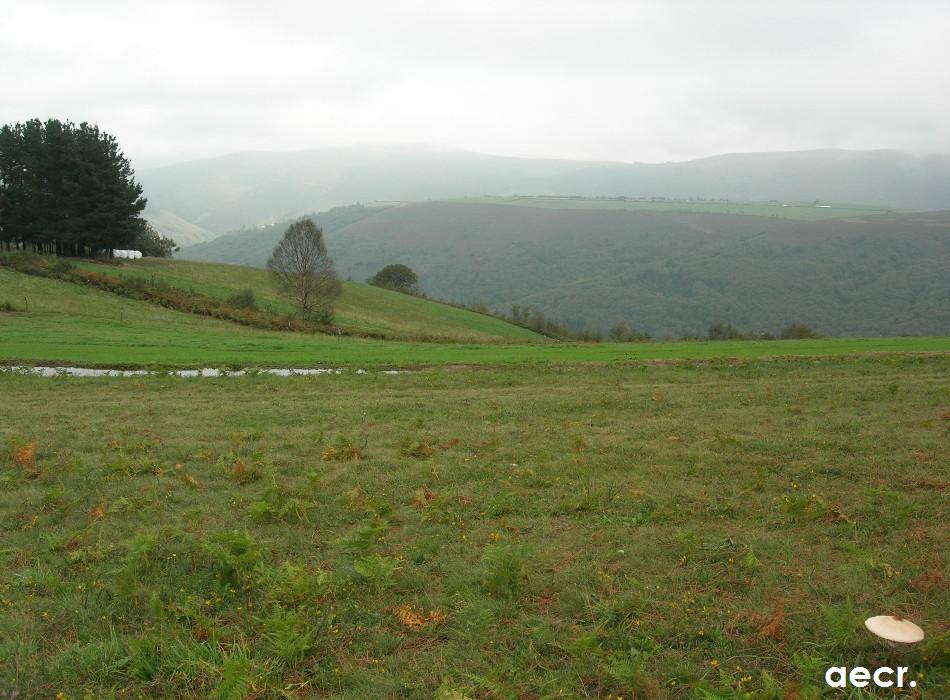 Foto de Carbayeu - Allande (Asturias), España