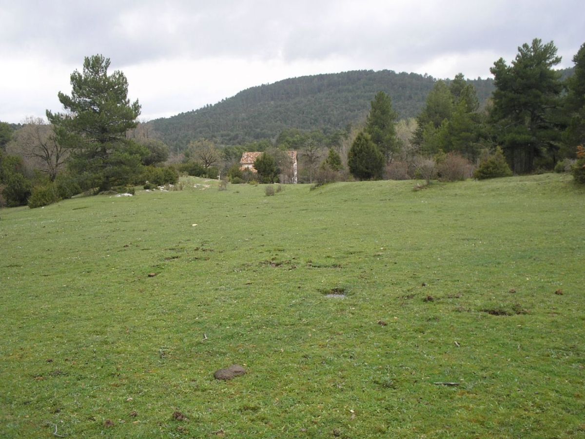 Foto de Las Majadas (Cuenca), España