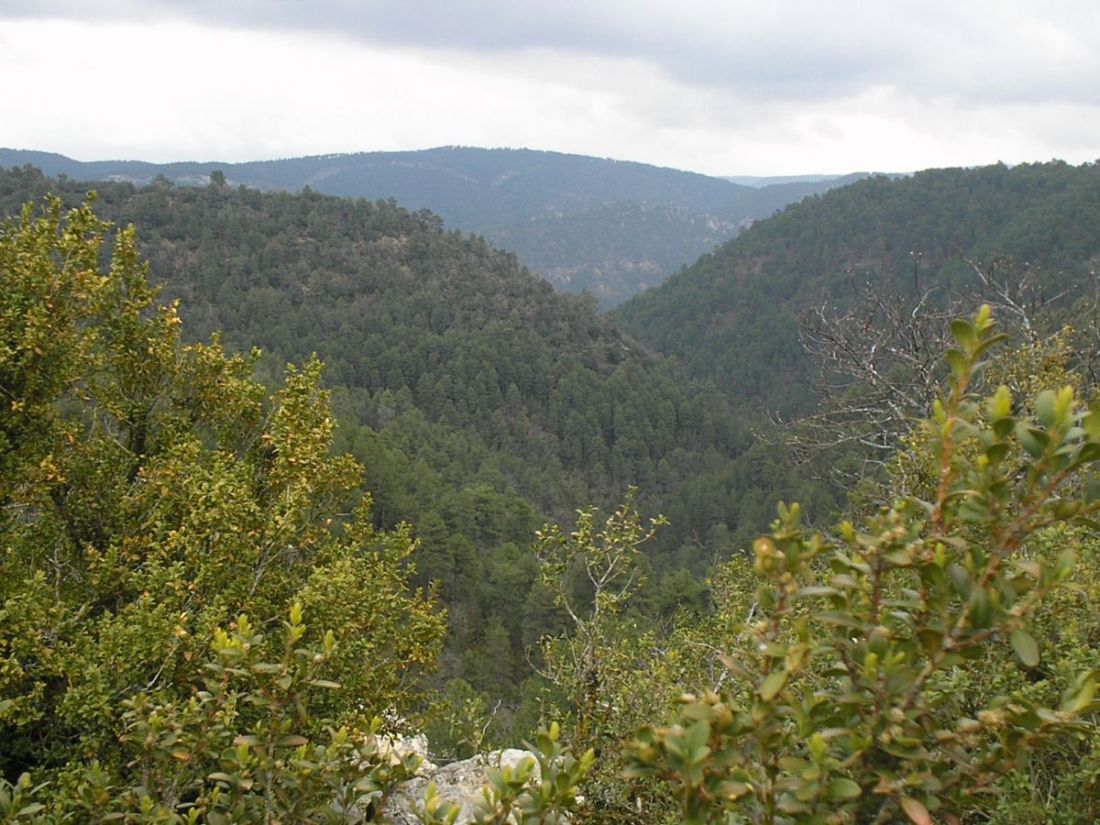 Foto de Las Majadas (Cuenca), España