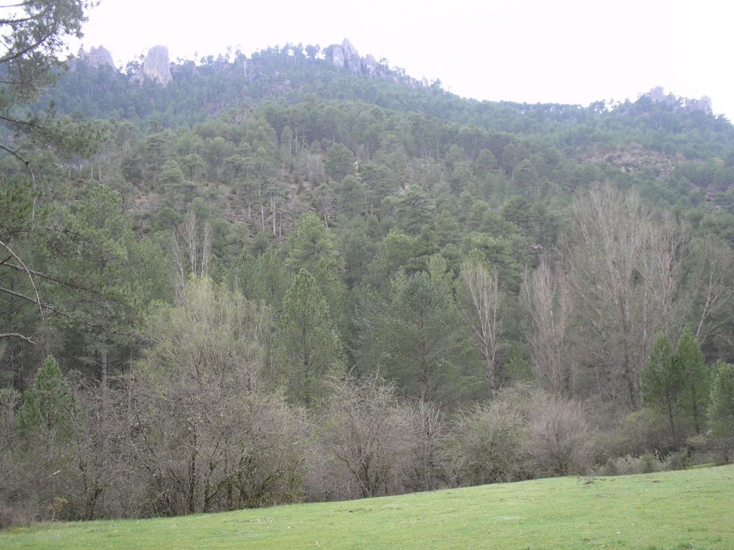 Foto de Las Majadas (Cuenca), España