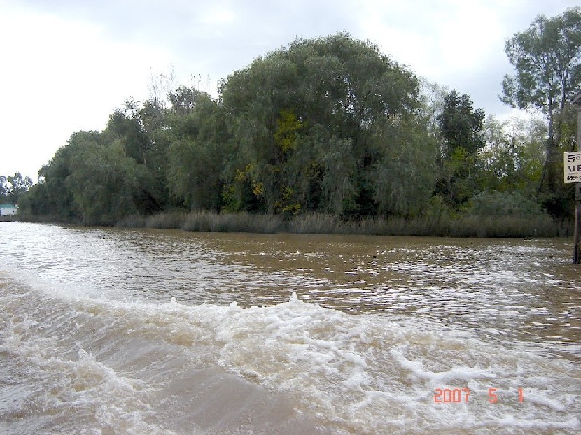 Foto de Tigre (Buenos Aires), Argentina