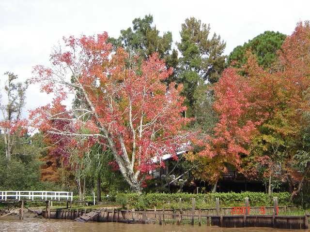 Foto de Tigre (Buenos Aires), Argentina