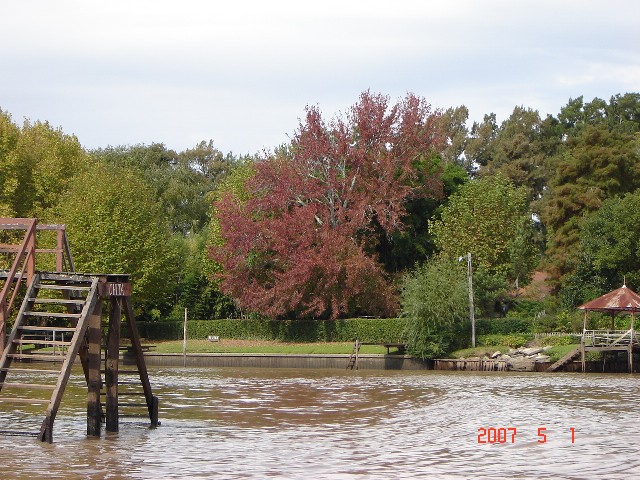 Foto de Tigre (Buenos Aires), Argentina