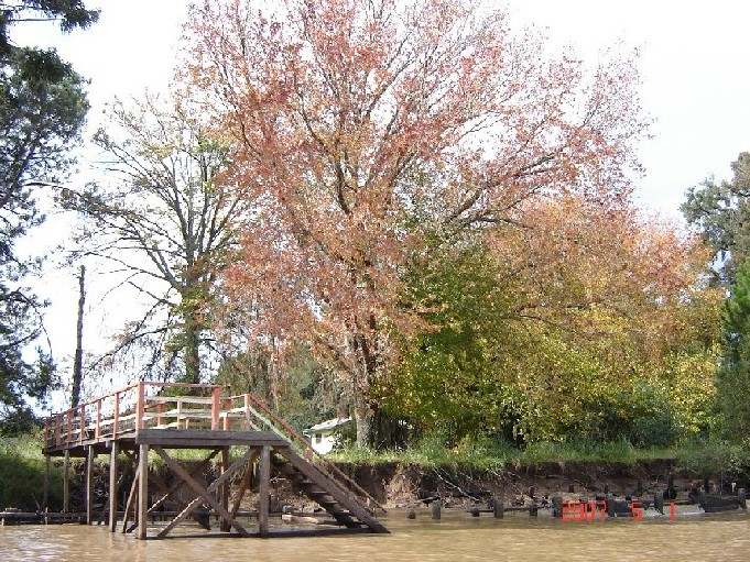 Foto de Tigre (Buenos Aires), Argentina