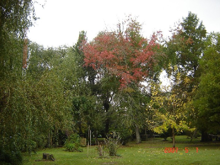 Foto de Tigre (Buenos Aires), Argentina