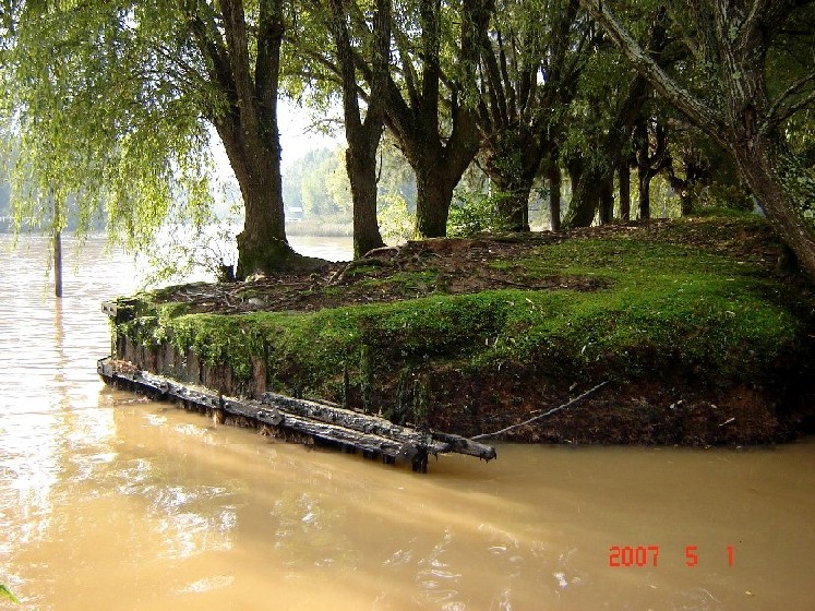 Foto de Tigre (Buenos Aires), Argentina