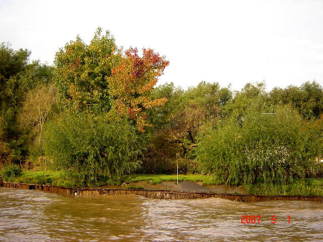 Foto de Tigre (Buenos Aires), Argentina