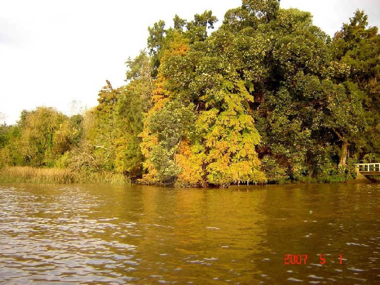 Foto de Tigre (Buenos Aires), Argentina