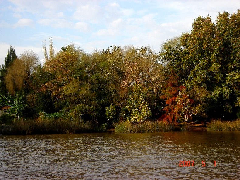 Foto de Tigre (Buenos Aires), Argentina