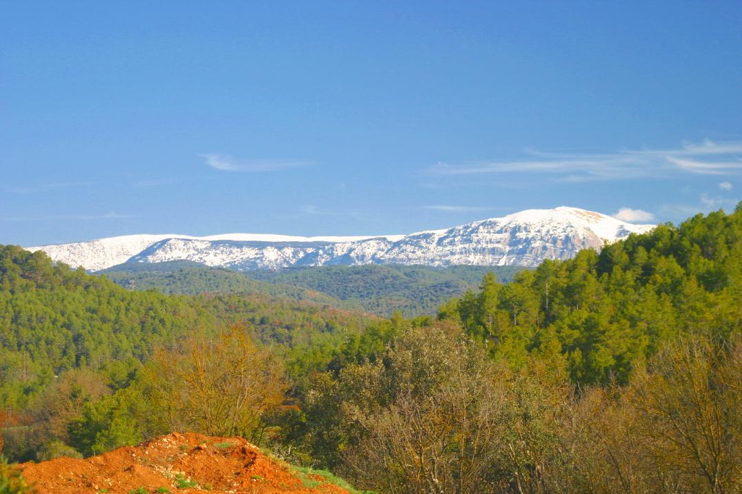 Foto de Olius (Lleida), España