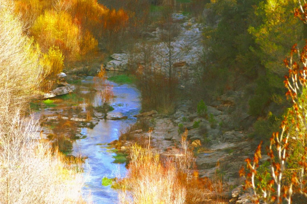 Foto de Olius (Lleida), España