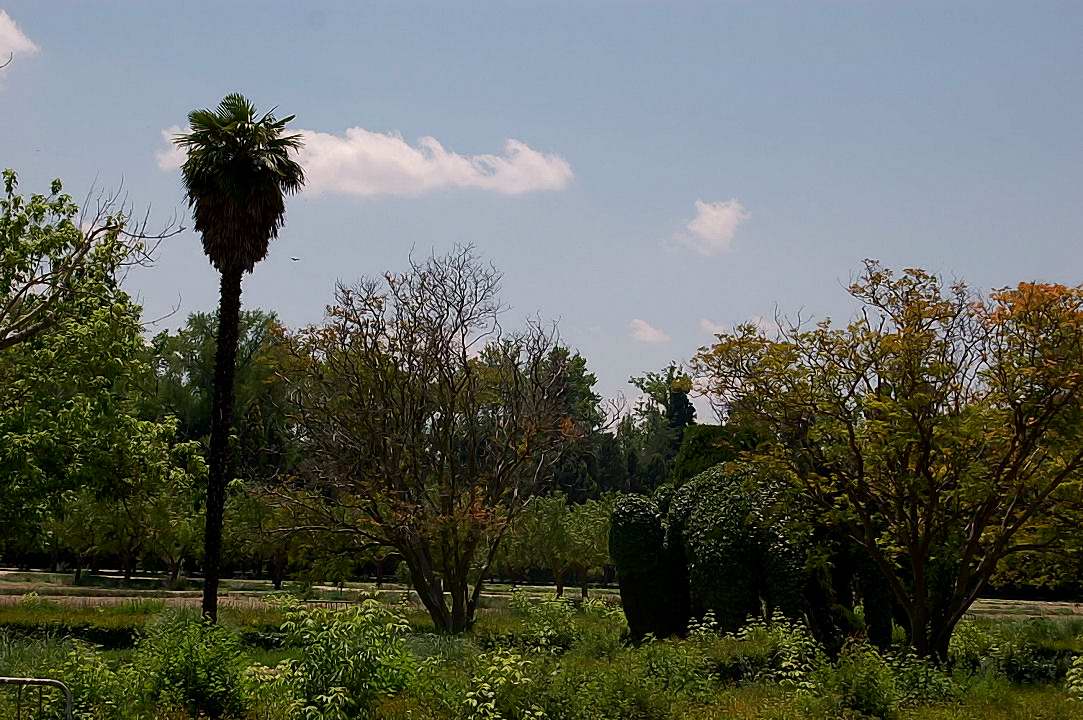 Foto de Aranjuez (Madrid), España