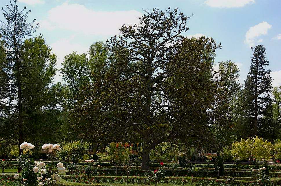 Foto de Aranjuez (Madrid), España