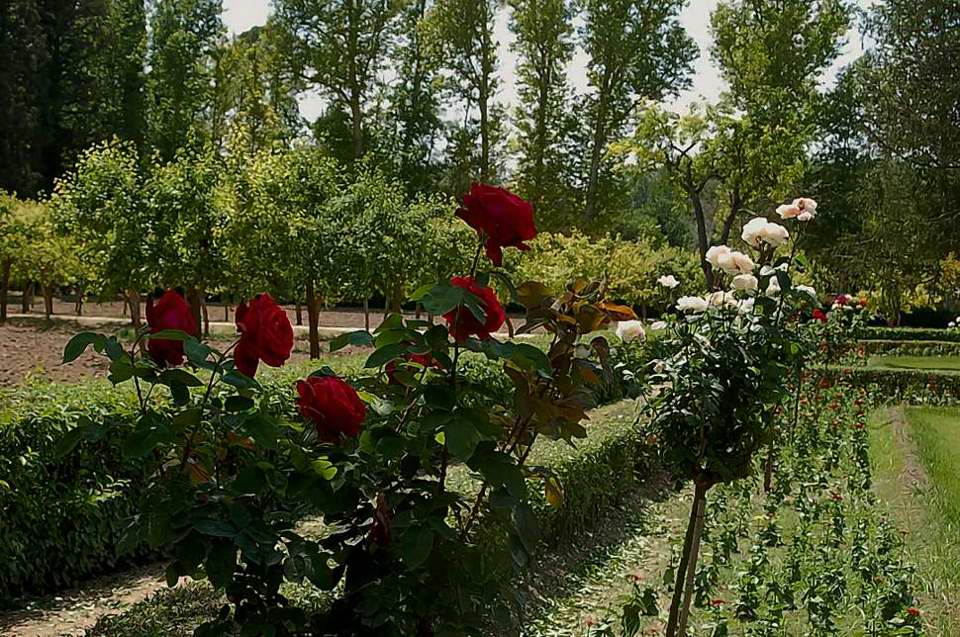 Foto de Aranjuez (Madrid), España