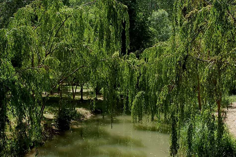 Foto de Aranjuez (Madrid), España