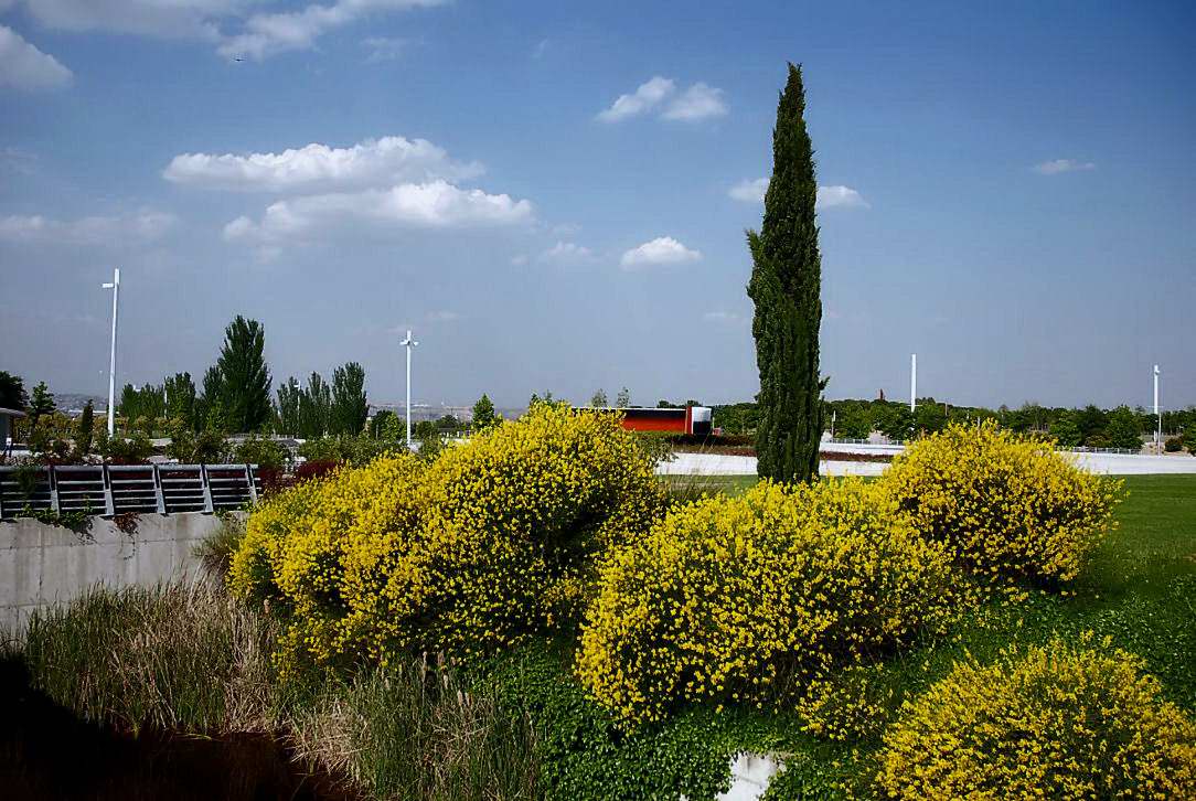 Foto de Madrid (Comunidad de Madrid), España