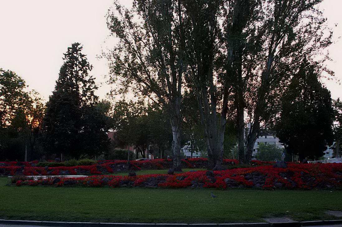 Foto de Madrid (Comunidad de Madrid), España