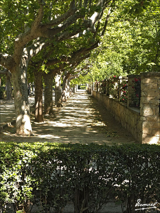 Foto de Zaragoza (Aragón), España