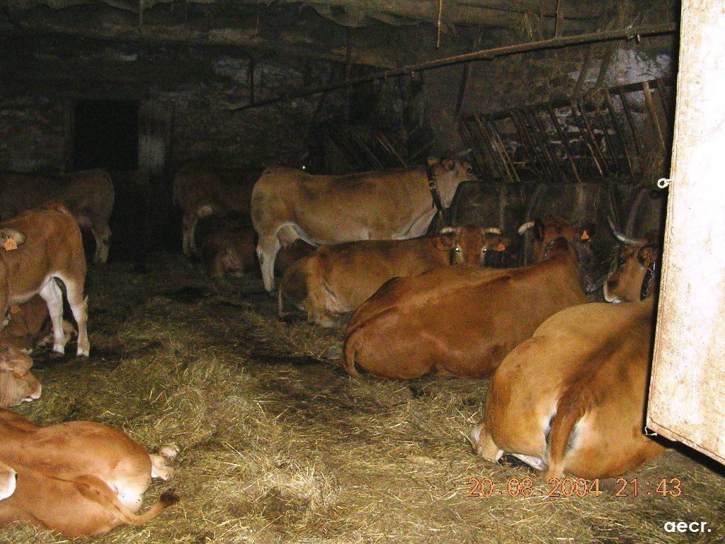 Foto de Carbayeu (Asturias), España