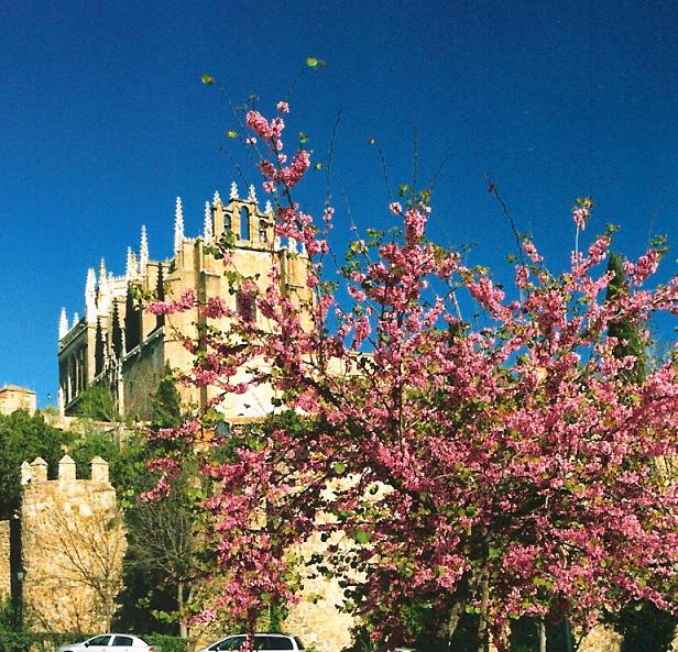 Foto de Toledo (Castilla La Mancha), España