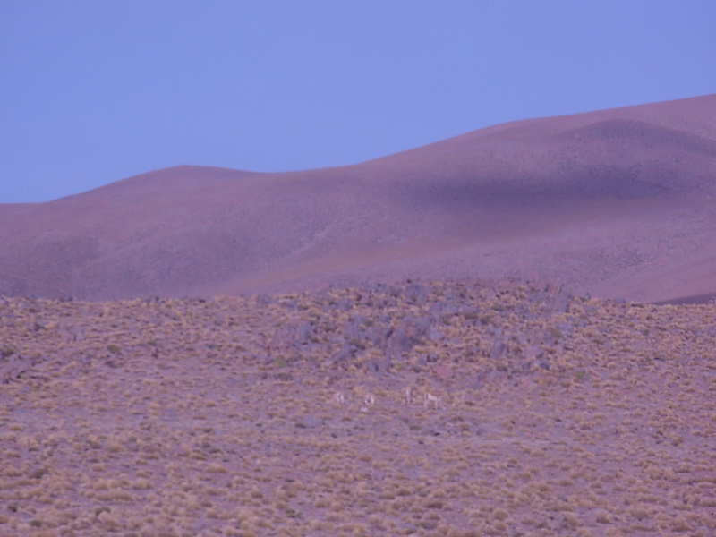 Foto de San Pedro de Atacama, Chile