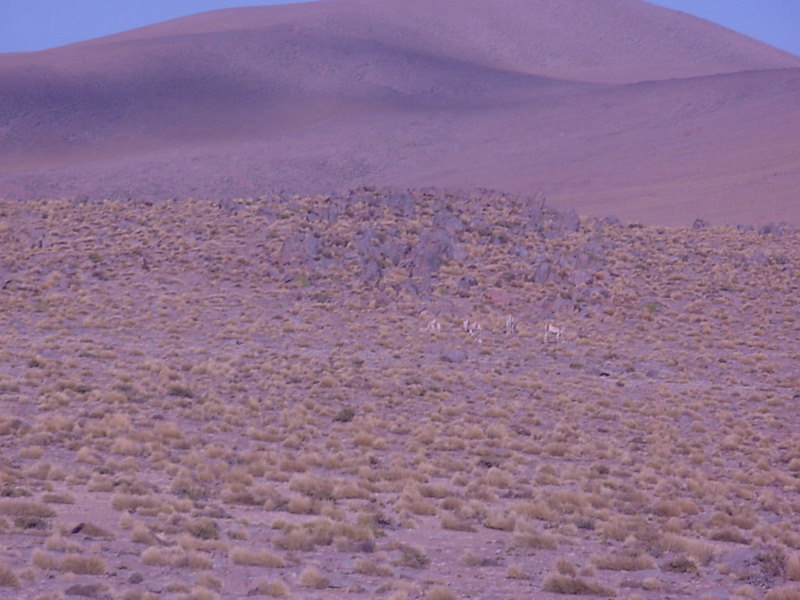 Foto de San Pedro de Atacama, Chile