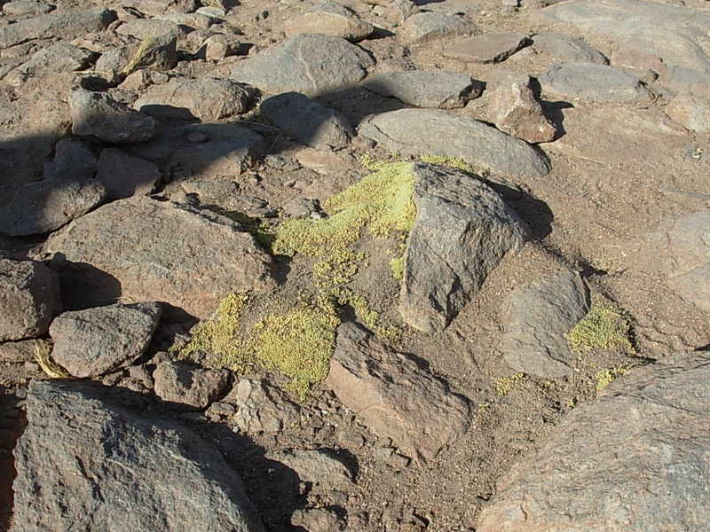 Foto de San Pedro de Atacama, Chile