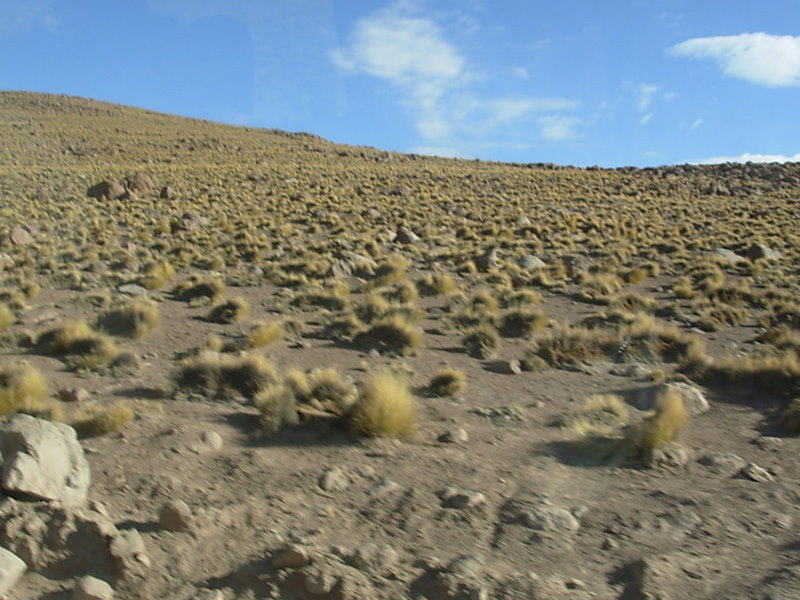 Foto de San Pedro de Atacama, Chile