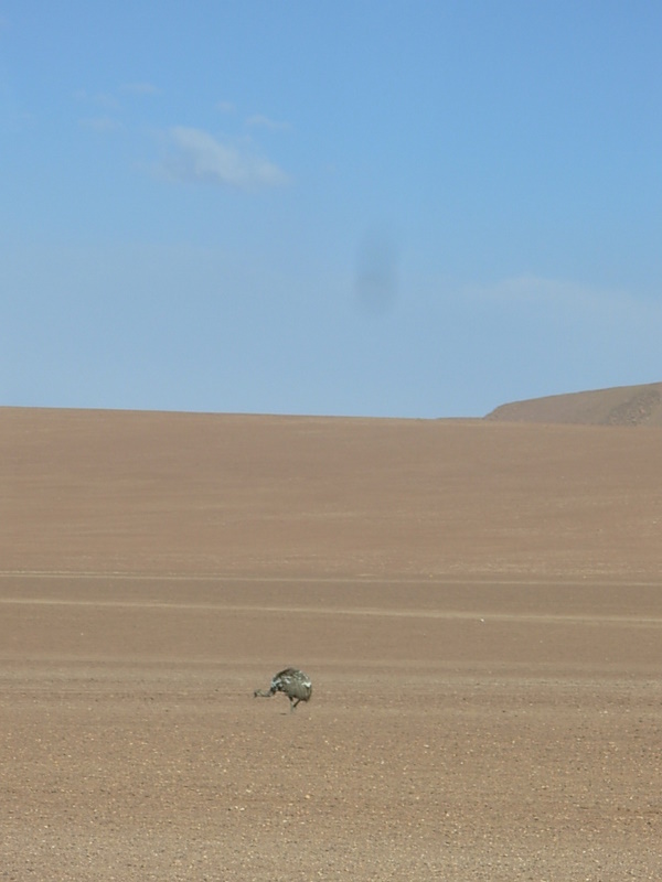 Foto de San Pedro de Atacama, Chile