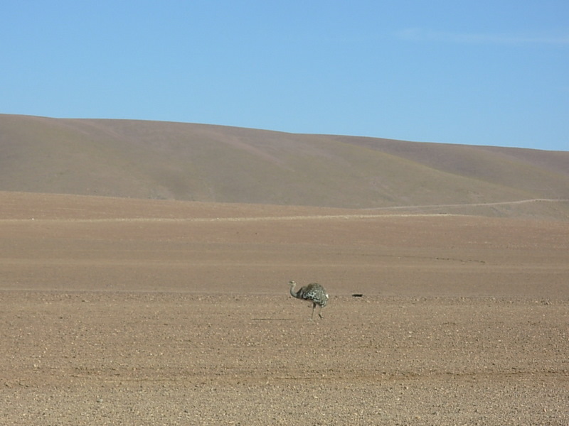 Foto de San Pedro de Atacama, Chile