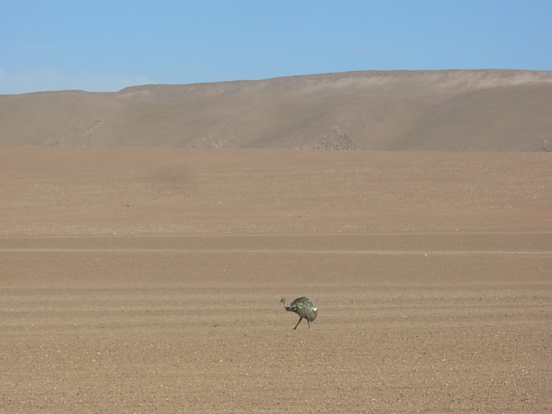 Foto de San Pedro de Atacama, Chile