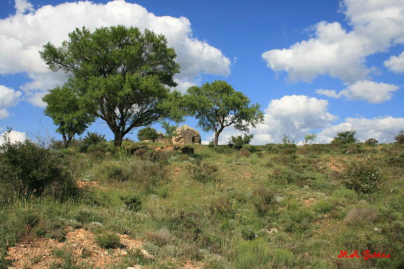 Foto de Ólvega (Soria), España