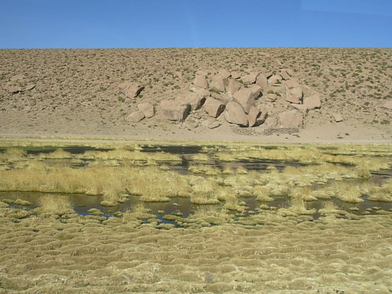 Foto de San Pedro de Atacama, Chile